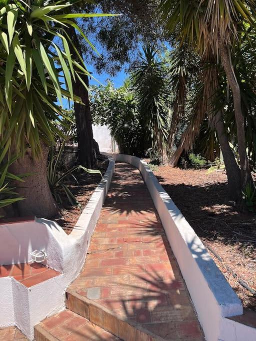 Beautiful Private Villa With Pool, Boliqueime, Loule Esterno foto